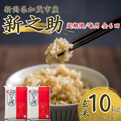 ふるさと納税 加茂市 【発送月固定定期便】【先行予約】新之助 玄米10kg　10月中旬より順次発送全6回 | 