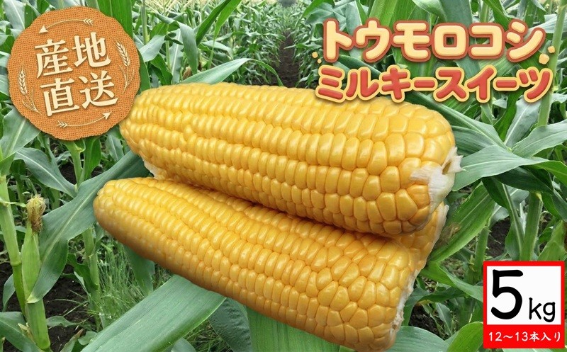 
                  【 産地直送 】 トウモロコシ 「 ミルキースイーツ 」 先行予約 5kg 新鮮 皮付き とうもろこし コーン 野菜 [CZ010ci]
                