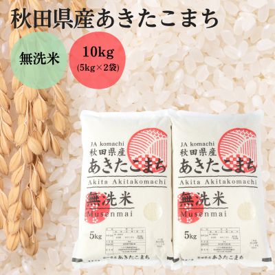 【ふるさと納税】無洗米 秋田県産 あきたこまち 10kg (5kg×2袋)[令和6年産]【 お米 米 お弁当 あま味 モチモチ 白米 美味しい 】　お届け：入金確認月の翌月に発送予定