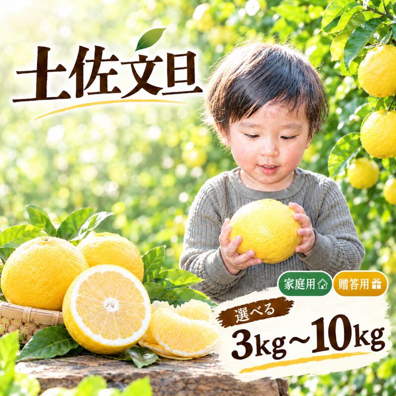 【ふるさと納税】 小野果樹園 文旦 家庭用 10kg 5kg 3kg 柑橘 果物 フルーツ みかん 贈答 ギフト 贈り物 プレゼント お歳暮 お中元 国産 高知県産 特産品 旬 季節 冬 甘い 酸味 爽やか 健康 ビタミンC 果汁 皮 美容 ダイエット 新鮮 産地直送 宿毛市 高知県 10,000円