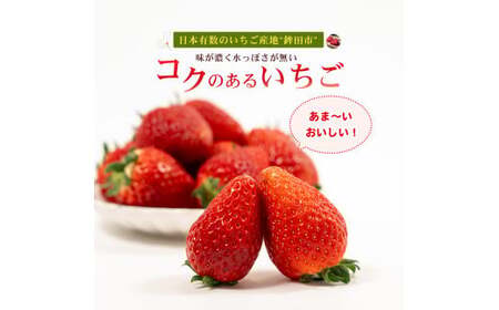 【4月発送】とちおとめ（レギュラーサイズ）4パック