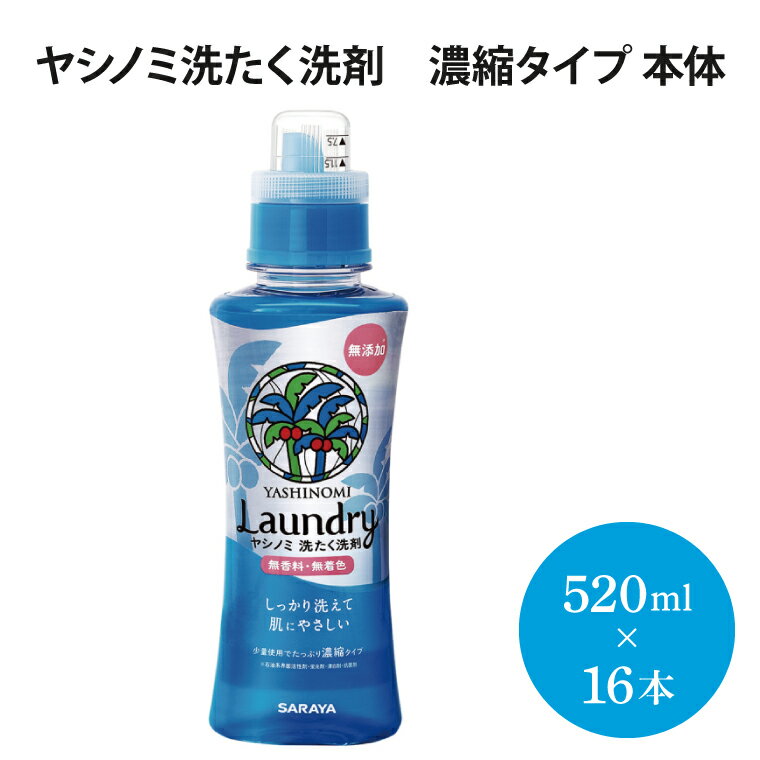 ヤシノミ洗たく洗剤　濃縮タイプ　本体【51342】