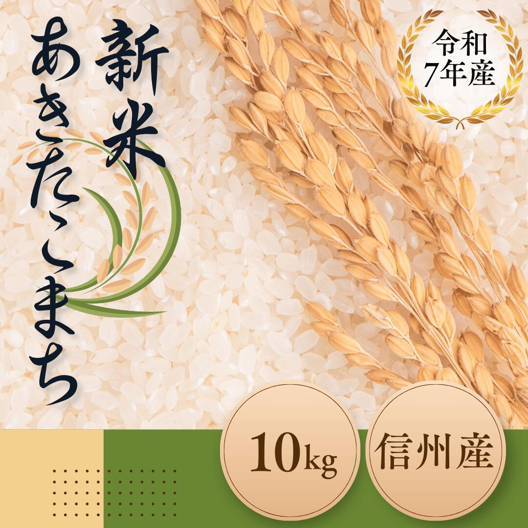 【ふるさと納税】【先行予約】いでさん家の令和7年　あきたこまち　白米　10kg〔ID-101〕