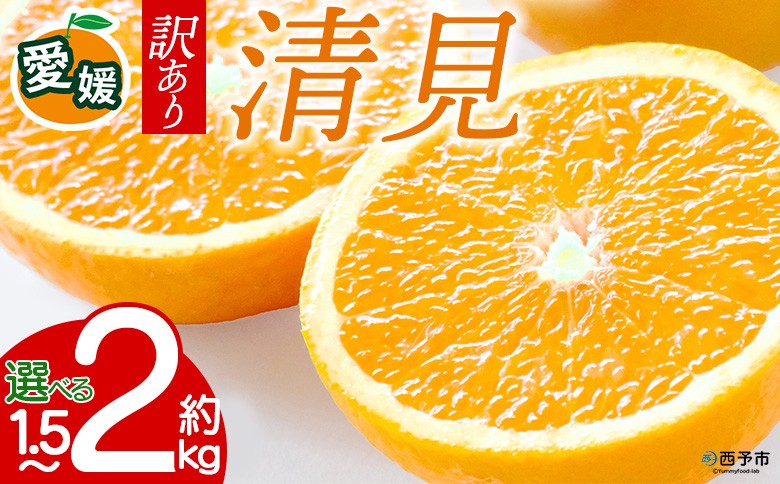 
                  【先行予約】＜訳あり 愛媛県産 清見 約1.5kg／2kg＞ 『2027年4月～6月に順次出荷』選べる きよみ 溢れる果汁 ご家庭用 ご自宅 わけあり 果物 柑橘 フルーツ オレンジ 国産 濃厚 果汁 産地直送 特産品 ミヤモトオレンジガーデン 愛媛県 西予市【常温】
                