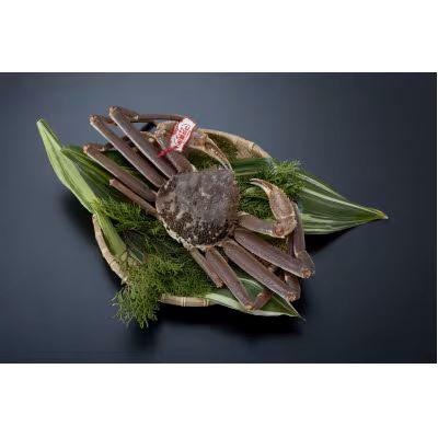 ふるさと納税 若桜町 【先行予約】【魚倉】タグ付き生松葉ガニ(中650g)