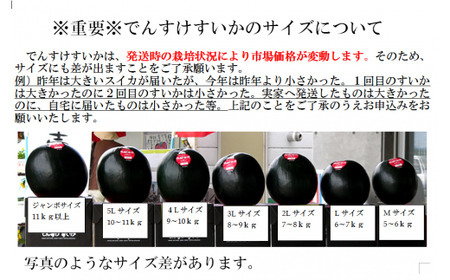でんすけすいか優品(でんすけピュアゼリー3個とでんすけドロップス1個付き)【A-038】