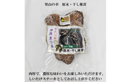 【令和7年産】出雲神結米（つや姫）＋乾燥ステーキしいたけ