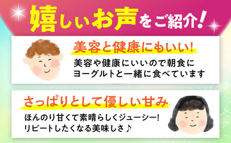 【2026年発送 先行受付】 【小玉】 完熟ドラゴンフルーツ 1.5kg (5玉) 果物 フルーツ スーパーフード 産地直送 沖縄市 / タカエスフルーツ＆ベジタブル[BCBH005]