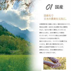 熱で壊れにくいオメガ3！大山崎油座商店のカメリナオイル 130g 1本 ギフト箱入り【nalx0002】
