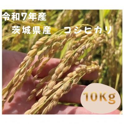 ふるさと納税 つくば市 【令和7年産】茨城県産コシヒカリ　精米10kg