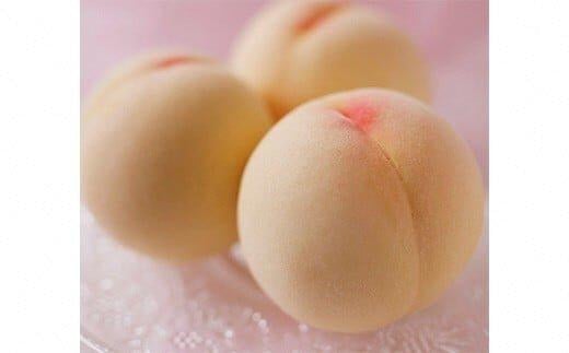 
            清水白桃 5 玉（約1.3kg）【数量限定500セット】
          
