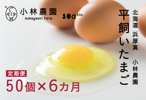 半年間定期便！無投薬・自然養鶏・平飼い卵 毎月５０個×半年間