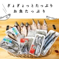 【 干物 】 干物ひもの 詰め合わせ セット
