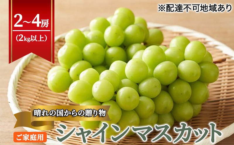 【2026年先行予約】【ご家庭用】 ぶどう 岡山県産 晴れの国からの 贈り物 シャインマスカット 2kg以上（2房～4房） 《2026年9月上旬-10月中旬頃出荷》 葡萄 フルーツ 果物 スイーツ 数量限定 期間限定 岡山 里庄町