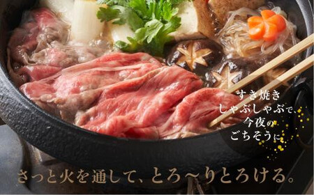 飛騨牛 すき焼き A5等級 ロース 500g すき焼き JQ018-CP01 FN-Limited-PR