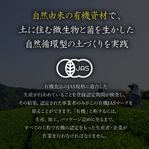 【全3回配送定期便】 紅茶 ティー バッグ 国産 オーガニック 7袋 セット 金賞 受賞 有機 JAS 化学肥料 不使用 お茶 茶葉 ギフト 贈り物 贈答 ふるさと人気 紅茶 紅茶ティー 有機紅茶 金