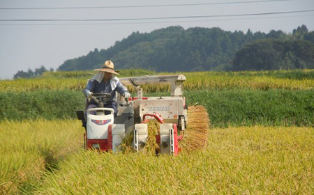 精米 5kg つきあかり【令和6年産】お米 米 ご飯 城里町 桂農産【配送不可地域:離島】 (AX005)