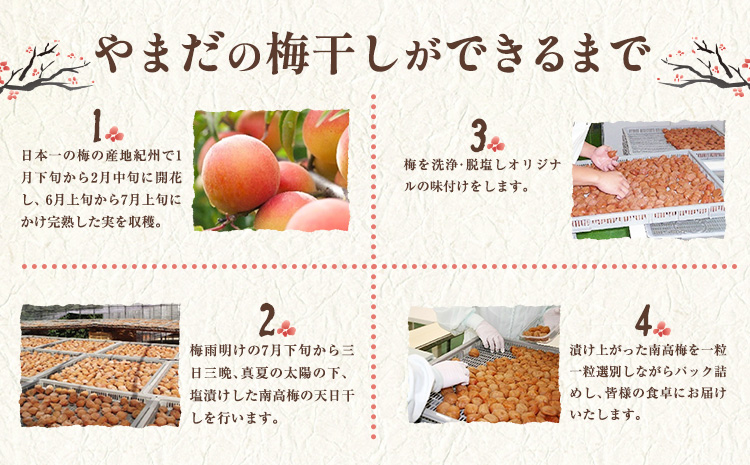梅干し 紀州南高梅 しそ プレミアム 塩分 約6% 850g《60日以内に出荷予定(土日祝除く)》 株式会社やまだ 和歌山県 日高川町 梅 梅しそ しそ梅 しそ 梅干し 米 おかず 国産 送料無料(f