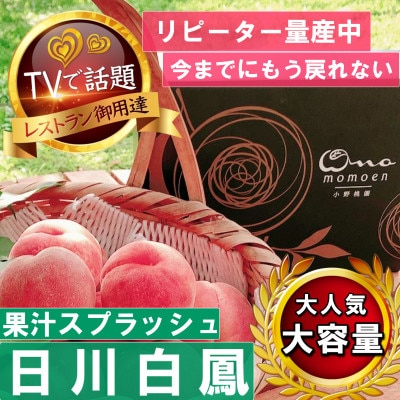 2027年発送先行受付【果汁スプラッシュ日川白鳳】人気品種指定ギフト5年連続TV出演話題ブランド桃【配送不可地域：離島・北海道・沖縄県・中国・四国・九州】
