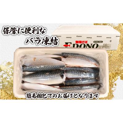 ふるさと納税 銚子市 訳あり　無塩さば　約5kg |  | 02
