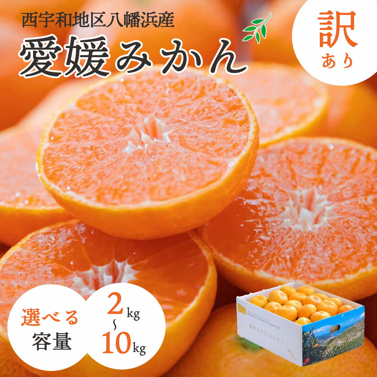 【ふるさと納税】八幡浜産愛媛みかん2kg/3kg/5kg/7kg/10kg【訳あり】_ みかん ミカン 蜜柑 訳あり 愛媛みかん 7kg 果物 くだもの フルーツ 甘い おいしい かんきつ 柑橘 柑橘類 国産 愛媛 愛媛県 八幡浜市 産直 産地直送 送料無料 【G1166251】