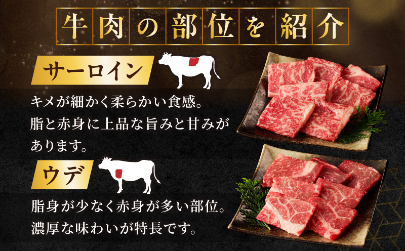 生産者応援≪訳あり≫黒毛和牛(経産牛)6種焼肉セット(合計600g)_T030-1203【肉 牛 牛肉 おかず 国産 人気 ギフト 食品 お肉 焼き肉 BBQ お土産 贈り物 送料無料 プレゼント】