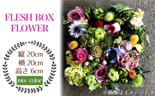 No.026-06 FLESH BOX FLOWER（mix color系） ／ ボックスフラワー お花 癒し ギフト おしゃれ 愛知県