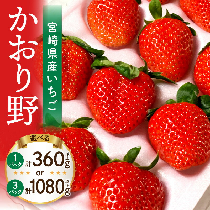 【ふるさと納税】【選べる内容量】《2026年発送》【数量・期間限定】宮崎県産イチゴ「かおり野」いちご ストロベリー 果物 フルーツ 果肉 スイーツ デザート 贈り物 贈答 プレゼント 記念日 国産 宮崎県産 グルメ お取り寄せ 宮崎県 宮崎市 送料無料