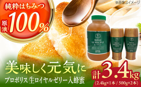 蜂蜜 コハマのハチミツ プロポリス 生ローヤルゼリー入蜂蜜 計3.4kg (2.4kg×1本 / 500g×2本)  年内発送 BCAQ010  