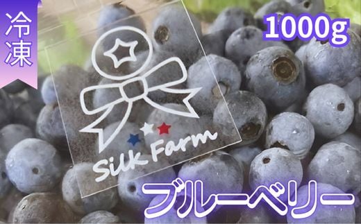 シルクファーム産　粒ぞろいの冷凍ブルーベリー1000g（500g×2パック）