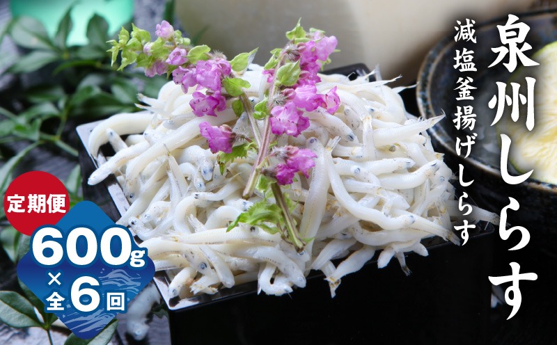 G2190 【定期便】泉州しらす （減塩釜揚げ）600g ×全6回 真面目漁師 濱ちゃんのこだわり