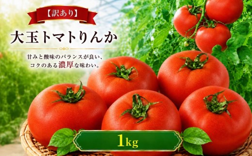 【訳あり】【R8年12月上旬順次発送】大玉トマトりんか 1kg | 大玉 トマト りんか 野菜 家庭用 訳ありトマビレファーム 岐阜 北方町