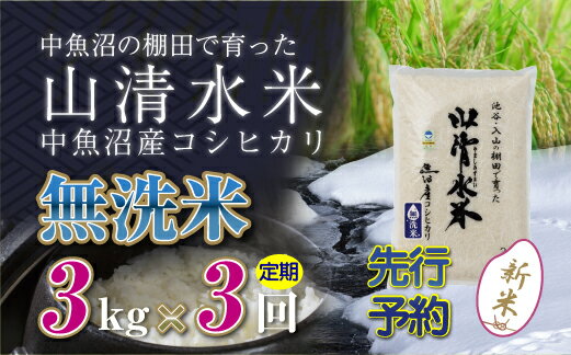 【ふるさと納税】【定期便／全3回】無洗米3kg 新潟県魚沼産コシヒカリ「山清水米」 　お届け：寄附入金確認後、順次発送します。