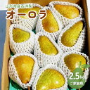 【ふるさと納税】 西洋梨 ( オーロラ ) 2.5kg ご家庭用 果物 フルーツ 洋なし お取り寄せ 山形 産地直送 送料無料 山形県 上山市 0012-2508