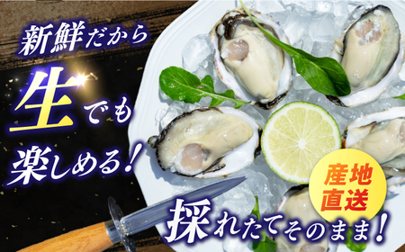 【期間限定！】 養殖カキ 五島小町　生食用 養殖 牡蠣 かき 殻付き 約1.3kg　約25個入　【五島オイスター】[RCN001]