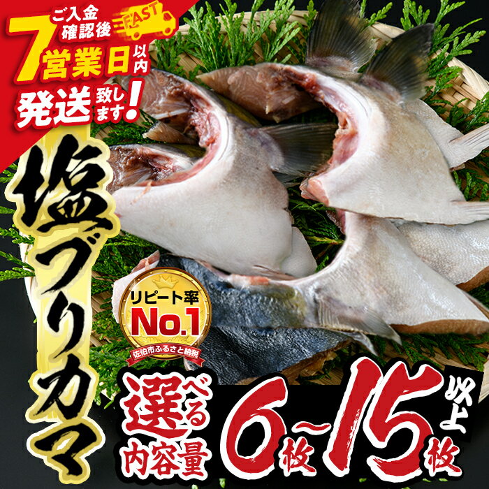【ふるさと納税】＜内容量が選べる＞ひもの丸丁の 塩 ブリカマ ( 3～4 枚入り× 2パック または(3～4枚入り× 5パック ) 国産 ブリ ぶり 鰤 養殖ブリ 新鮮 鰤かま 冷凍 大分 大分県 佐伯市 小分け ふるさと納税 【DH148・DH254】【(株)ネクサ】