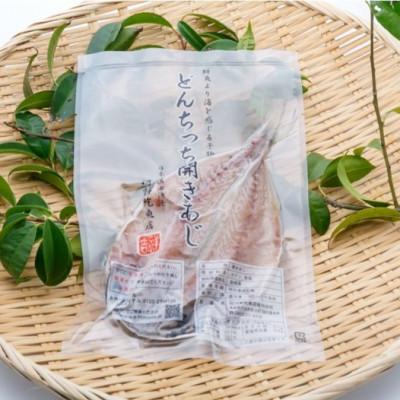 ふるさと納税 浜田市 山陰浜田港ブランド「どんちっちアジ」干物10枚セット