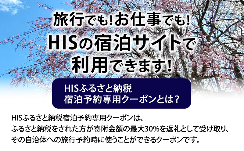 HISふるさと納税宿泊予約専用クーポン（千葉県成田市）15,000円分
