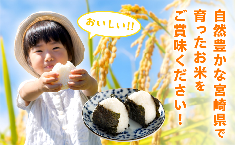 2週間以内に発送 早場米 コシヒカリ 計20kg 期間限定 日南市産 お米 ご飯 ライス 国産 令和7年産 人気 食品 精米 白米 こしひかり 有洗米 おにぎり お弁当 炊き込みご飯 雑炊 ギフト 贈