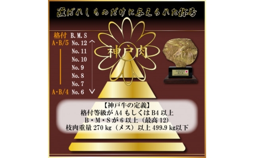 神戸ビーフ サーロイン&赤身 ステーキ・すき焼きセット 計800g AGSTS8【1770411】