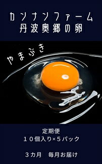 【ふるさと納税】【3ヶ月定期便】丹波奥郷の卵　やまぶき　45個+5個破卵補償　(約3kg）