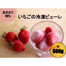 【あまおう95%】いちごの冷凍ピューレ約600g(朝倉市)