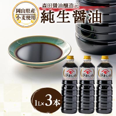 ふるさと納税 真庭市 森田醤油醸造元　純生醤油3本セット【morita12】