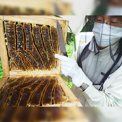 ふるさと納税 白山市 石川県白山市産　純粋日本はちみつ　白山ひめみつ　270g×2瓶 |  | 03