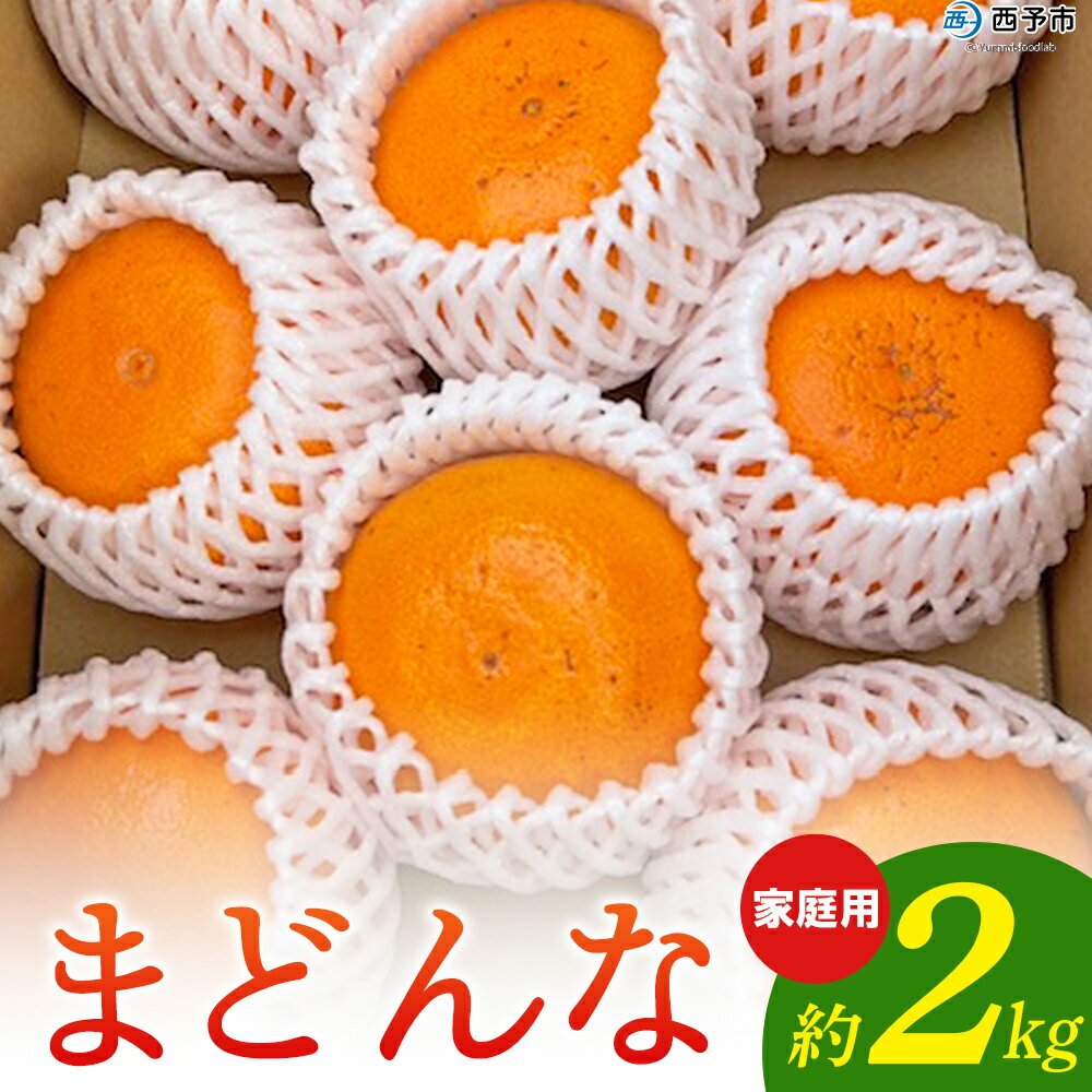 【ふるさと納税】先行予約 紅まどんなと同品種！＜まどんな 家庭用 約2kg＞ 柑橘 みかん ミカン 蜜柑 果物 フルーツ オレンジ 紅マドンナ マドンナ 訳あり 国産 愛媛産 特産品 おれんじはーと 食べて応援 西宇和 愛媛県 西予市 【常温】『2025年12月から順次出荷予定』