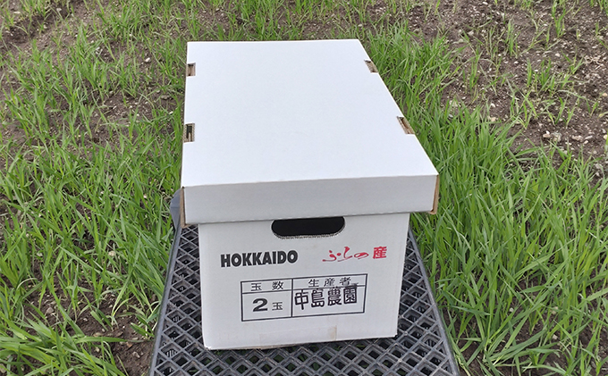 【2024年7月～発送】北海道 富良野市 ふらの赤肉 メロン 2kg×2玉 (中島農園) メロン フルーツ 果物 新鮮 甘い 贈り物 ギフト 道産 ジューシー おやつ ふらの ブランド 夏
