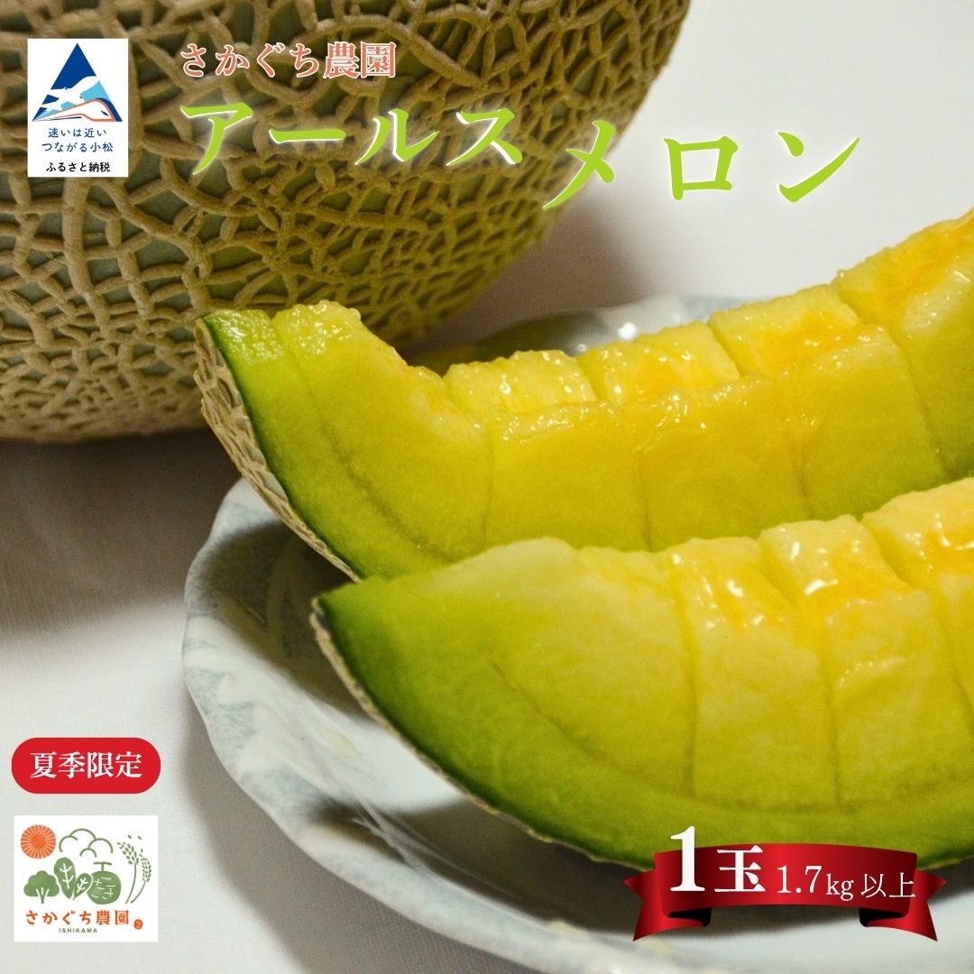 【ふるさと納税】 【先行予約】アールスメロン 1玉（1.7kg以上） 化粧箱入り 令和8年8月上旬より順次発送 先行予約 マスクメロン 果物 フルーツ プレゼント 贈答用 お中元 009066【坂口農園】