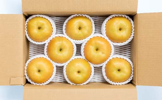 渡辺果樹園の南水梨　約3kg＜9月上旬～9月下旬にお届け＞ F7