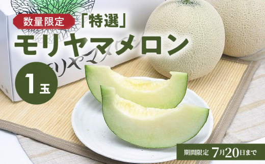【数量限定】「特選」モリヤマメロン　１玉　 AA-0001