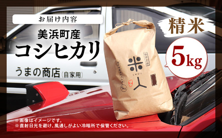 令和7年産 コシヒカリ 5kg【精米】 [m25-a006_01]